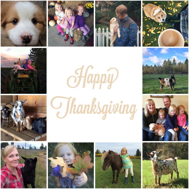 Happy Thanksgiving from our family to yours!