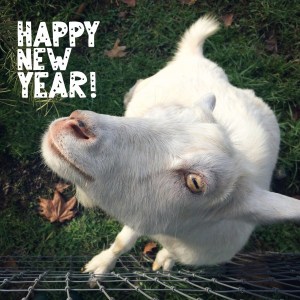 It's the year of the goat!