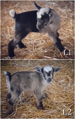 A055B644-31B0-4FE3-8137-B5B9EB615809