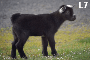 2A85345E-E44A-493B-91B1-E6B3F6AB2261