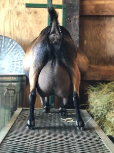 8ABBFBC0-9DAB-408E-974E-C041E64241EA