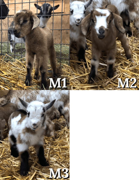 31AF2CE6-F709-4187-90F2-DDBC4EA94918