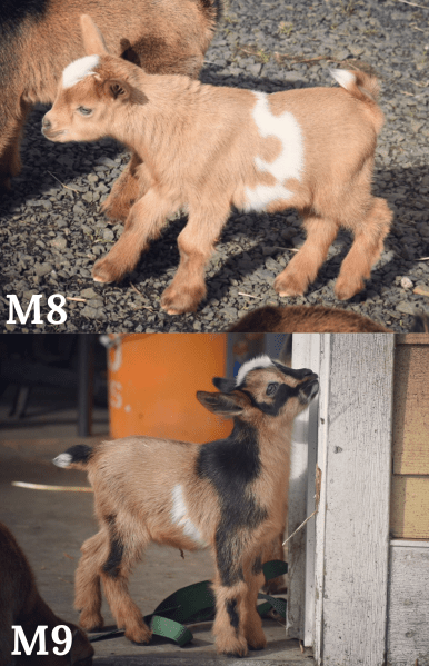 25037448-F8E5-4880-AE72-39117B1EE056