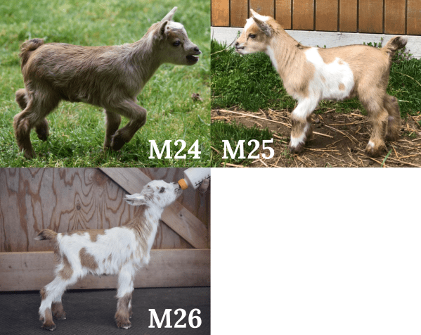 3D40F935-4ACA-4B4F-A4DF-2BD9734B8883