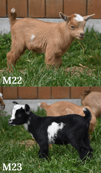 79B9DEA8-7ACC-4361-9284-3AC1088EDCC7