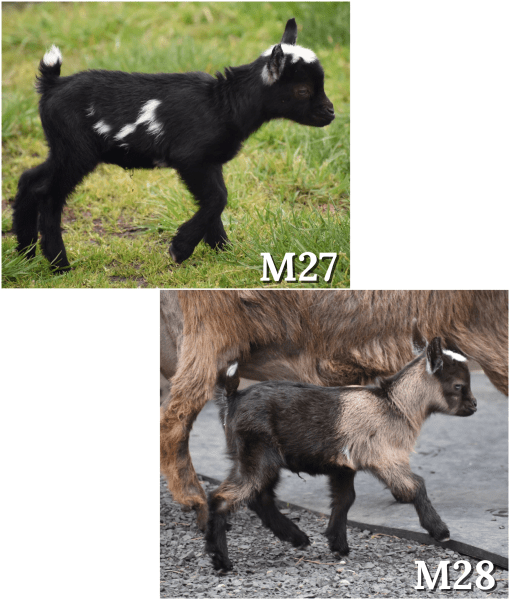 7A5363B5-72AD-4F1A-A8F6-6207538A4F03