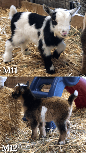 D7AF9377-33FD-4ED3-A336-8080A18D9099