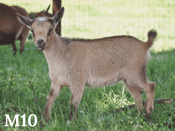 2DE1C09D-682B-46CA-B9ED-C02F6D79C76B