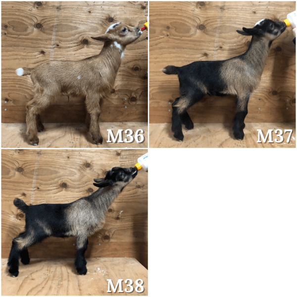 A4AF1FA1-ADDE-4D16-AA56-BB601EB76910