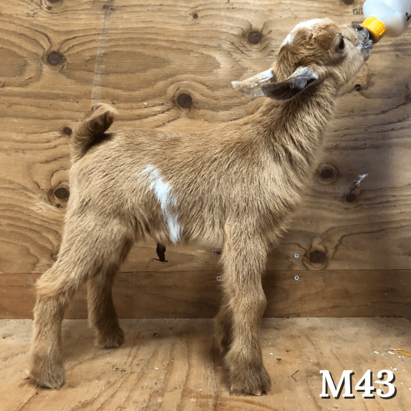 CDB62DFF-0B8C-457E-B4E8-70F46E5D9F70