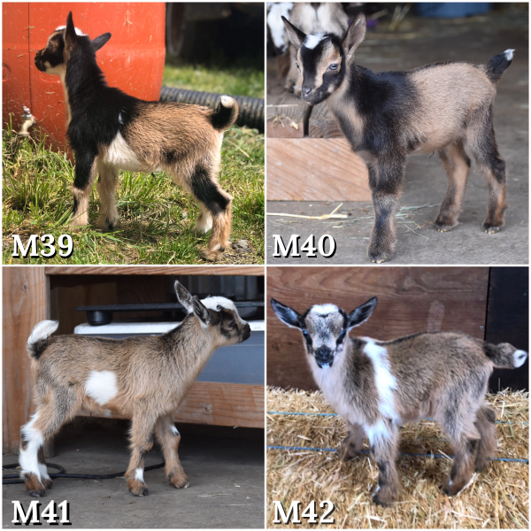 EE719624-CAE0-4E46-A65C-56FCD0D02FEA