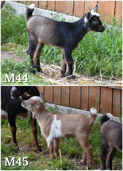 25BFC59A-2D09-40B4-8F85-D133C4235A7B