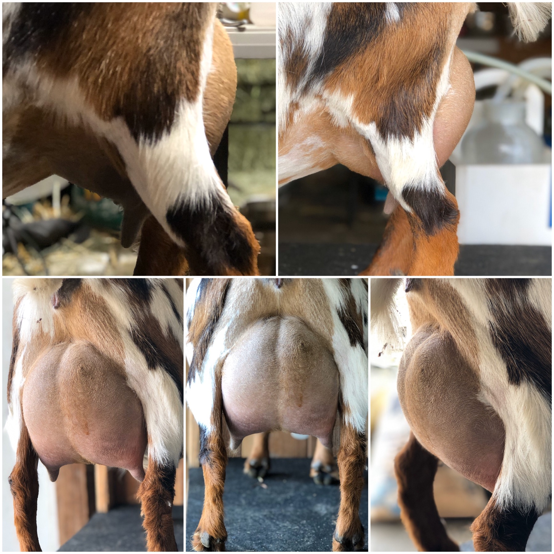 90F5652E-D3D2-4330-8D1E-F7738477608A