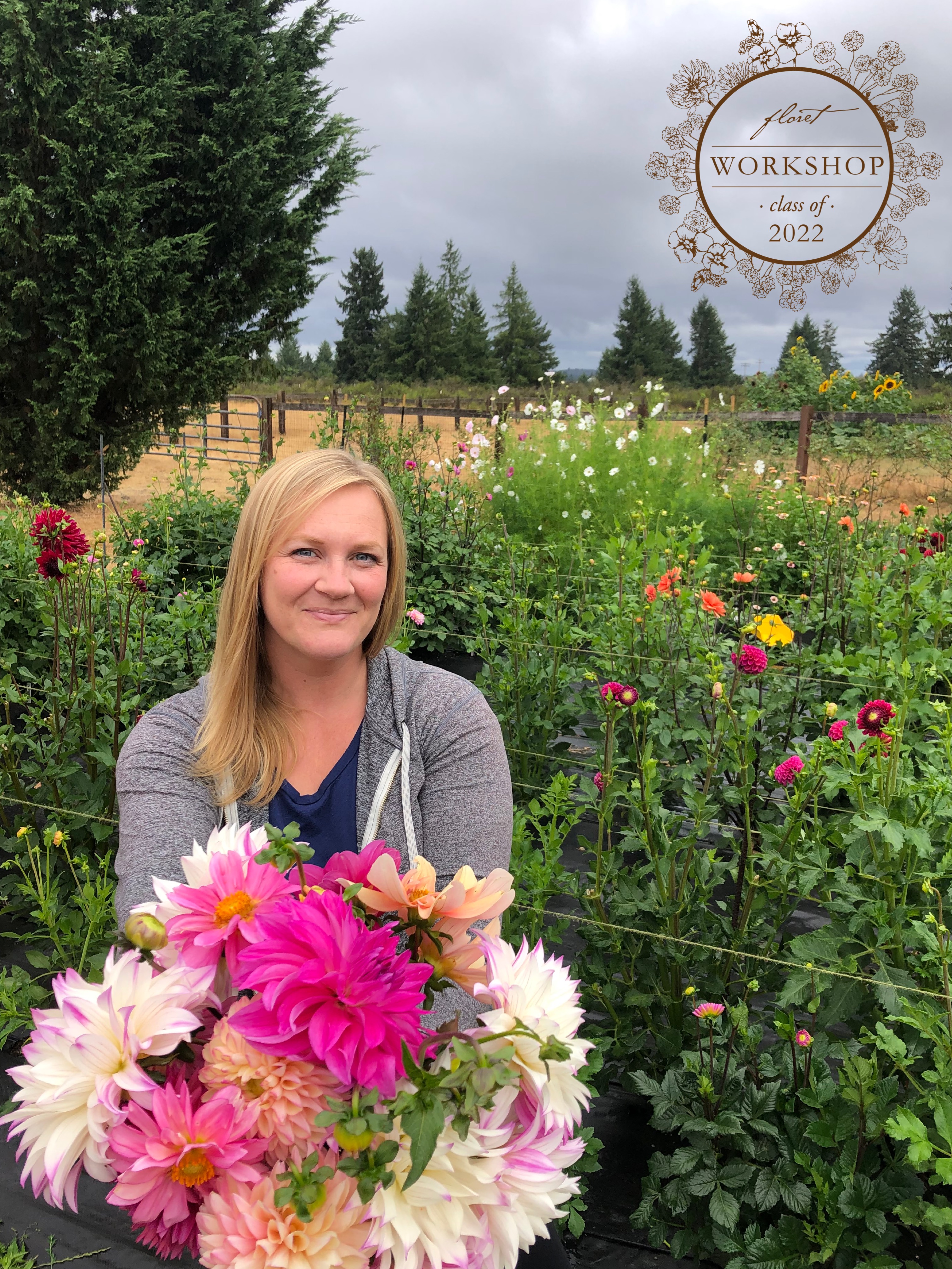 My first dahlia garden